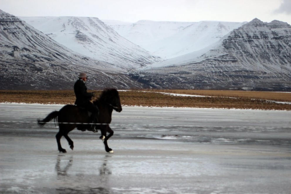 Myndskeið frá Mjúkísmóti