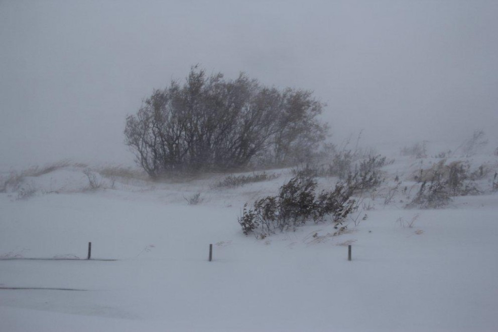 Svipmyndir frá stórhríðinni á Hvammstanga