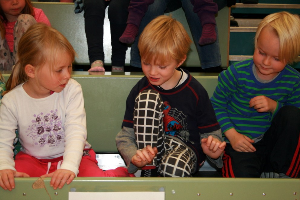 Vinadagur í Skagafirði - Myndir