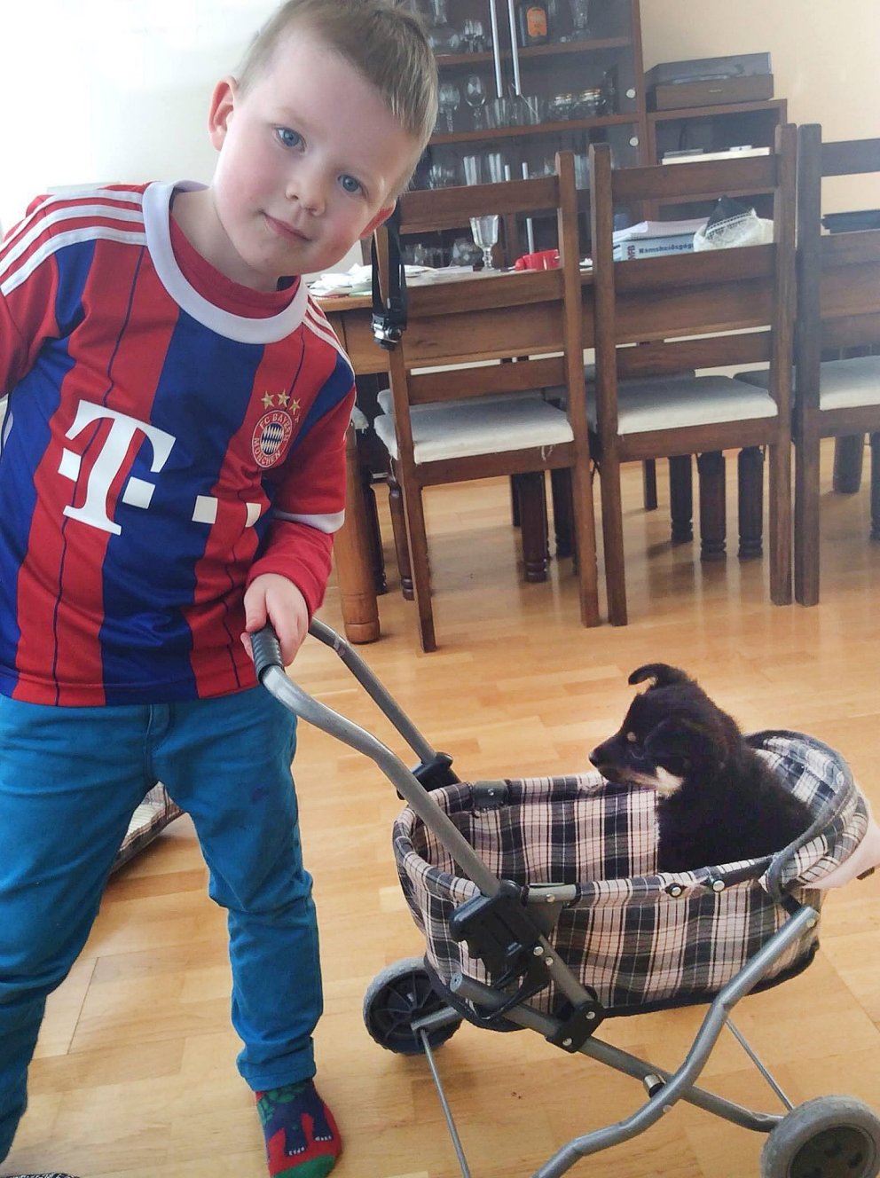 Ísak og sokkaþjófurinn Loppa í góðum gír fyrir 