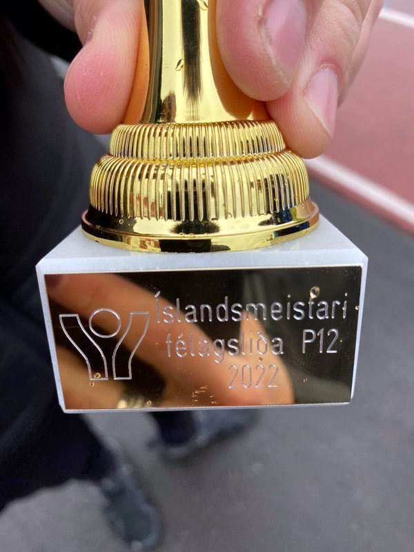 Bikarinn sem þeir Aron Örn Ólafsson, Hlynur Örn Ólason og Valdimar Logi Guðmannsson
lönduðu sem Íslandsmeistarar félagsliða í 12 ára flokki pilta á MÍ um helgina. Mynd af FB-síðu frjálsíþróttadeild Hvatar.