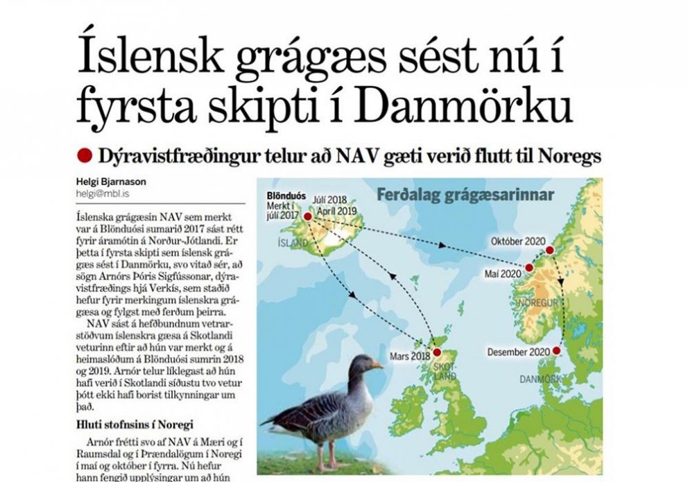 Skjáskot af Morgunblaðinu 8. febrúar 2021.