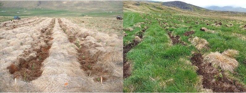 Jarðvinnsla í Spákonufelli 2022