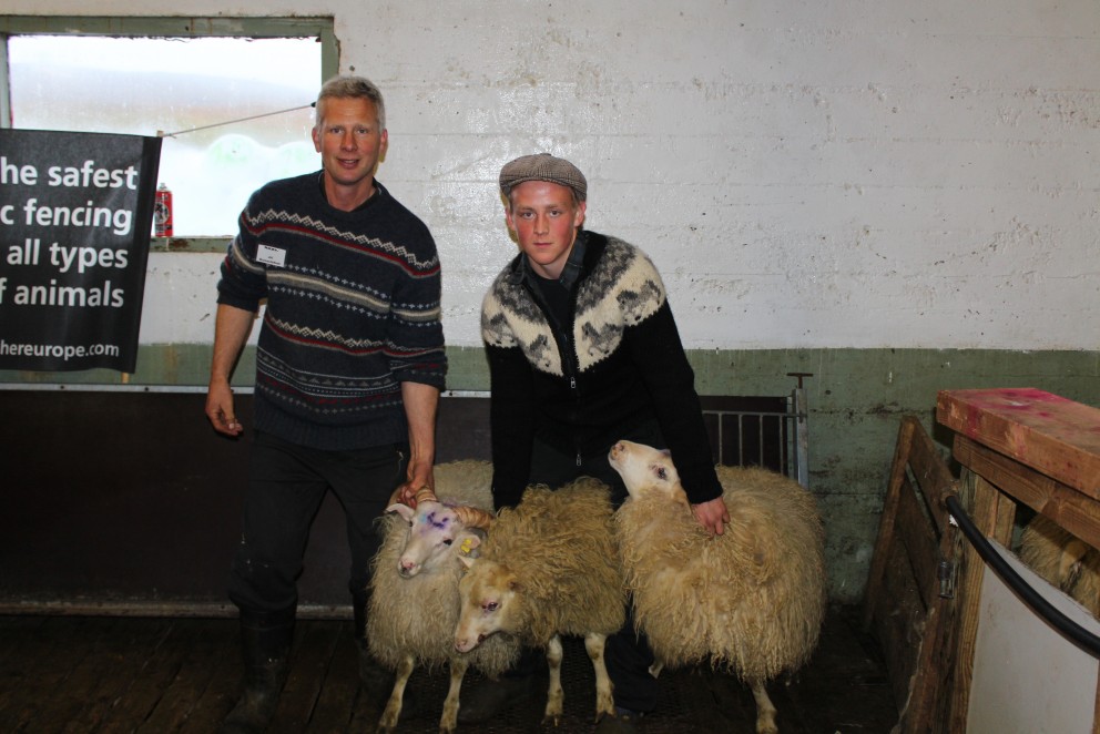 Fjárdagur í Fljótum