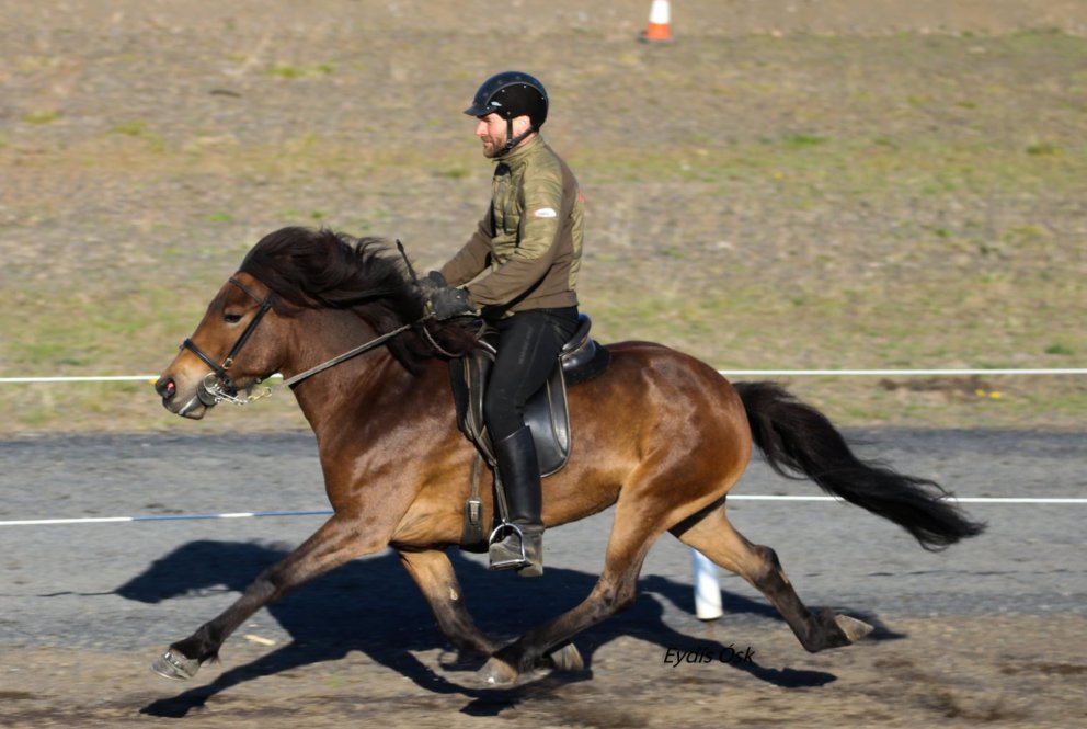 Jóhann Magnússon, knapi ársins í meistaraflokki. Mynd aðsend.
