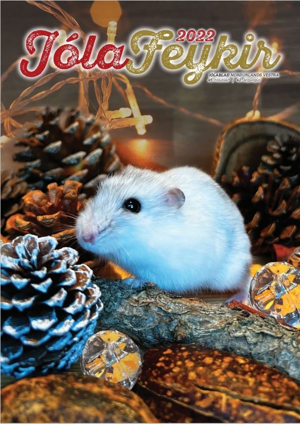 Forsíða Jólablaðs Feykis 2022.