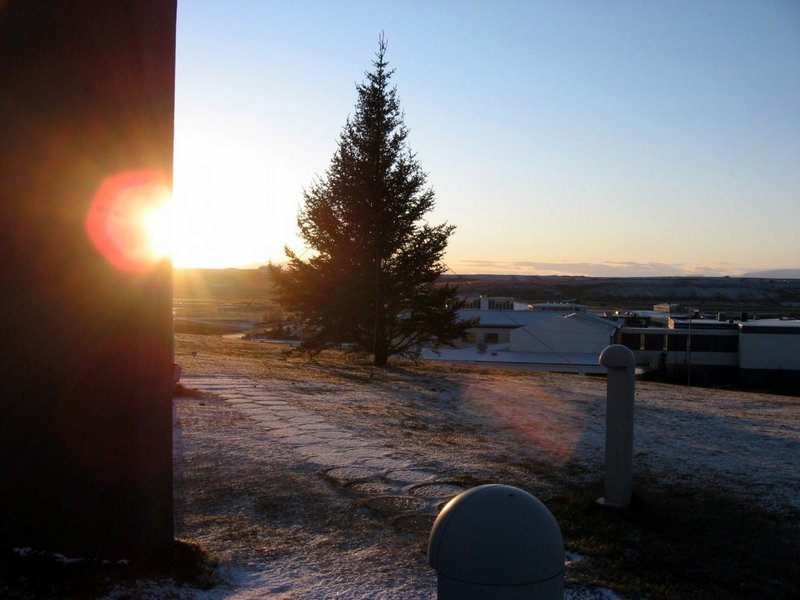 Jólatréð við Blönduósskirkju. Mynd:blonduos.is