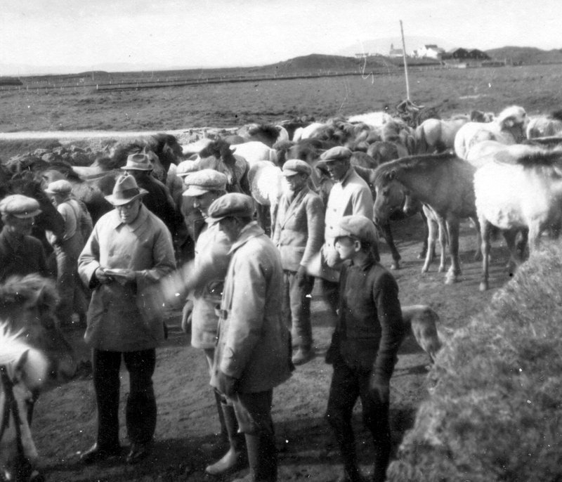 Theodór Arnbjörnsson hrossaræktarráðunautur BÍ við dómstörf á Suðurlandi um 1930. Ljósmynd: Einkasafn ThA, Sögusetur íslenska hestsins.