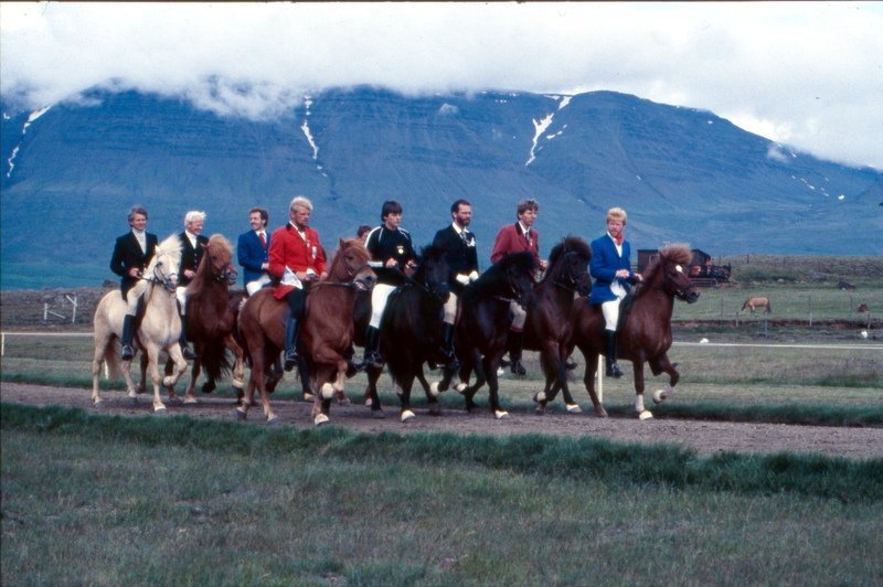 Landsmót á Vindheimamelum 1982, hópreið efstu gæðinga í A-flokki. Ljm. JTS.