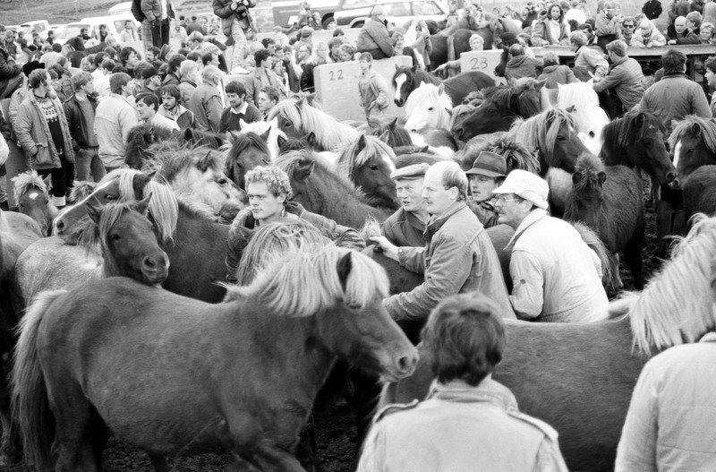 Myndatexti: Laufskálarétt árið 1986. Ljósmynd úr safni SÍH tekin af Sigurði Sigmundssyni.