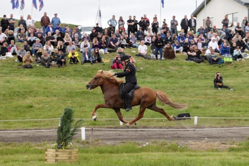 Kalsi frá Þúfum og Mette Manseth. Mynd: Eiðfaxi.