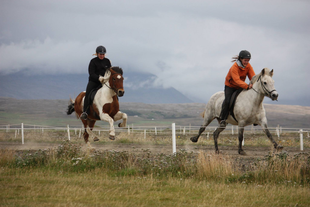 Guðrún Harpa á Skapta og Ragnheiður Petra á Grána. Mynd: Hildur Claessen.