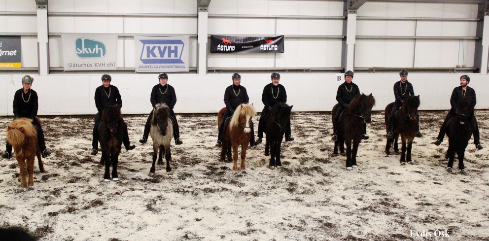 Karlatölt Norðurlands