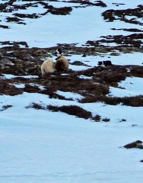 Mynd Jónína Bragadóttir.