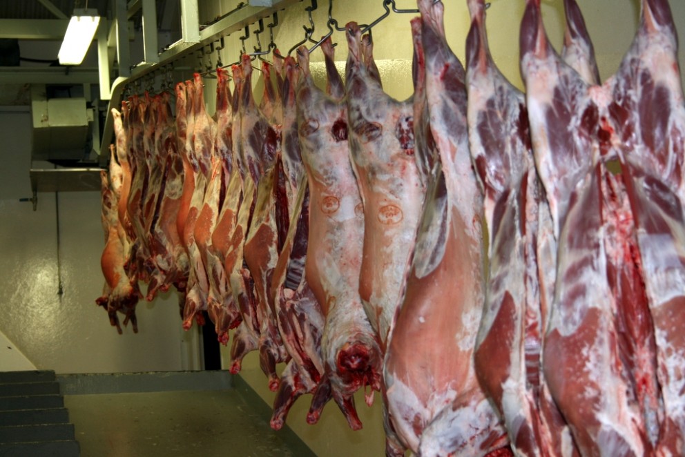 Réttarstjóra vantar