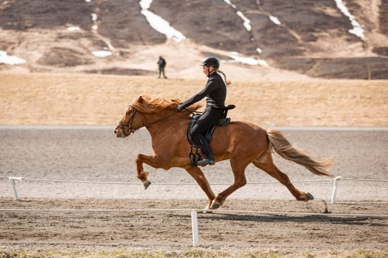 WR Hólamótinu lokið