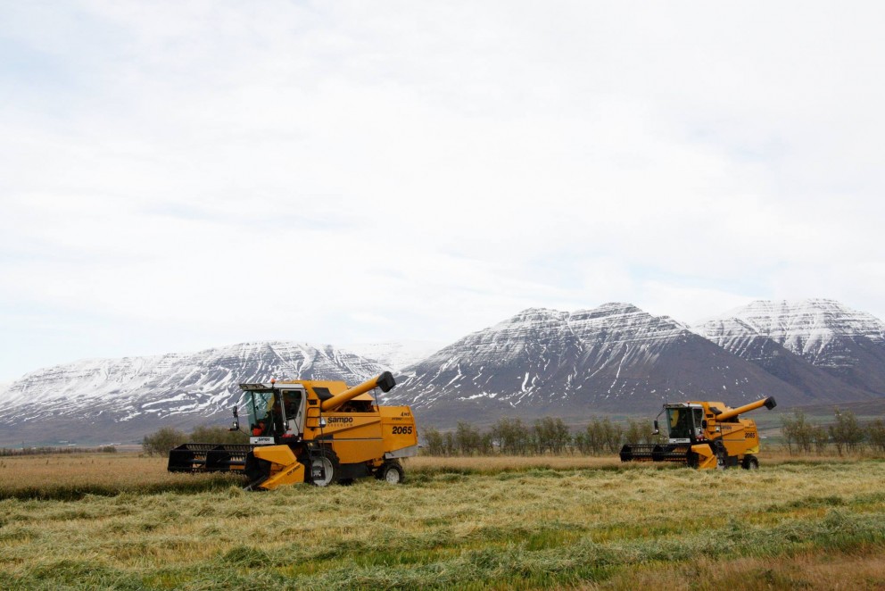 Bændur alltaf að ná betri tökum á ræktuninni