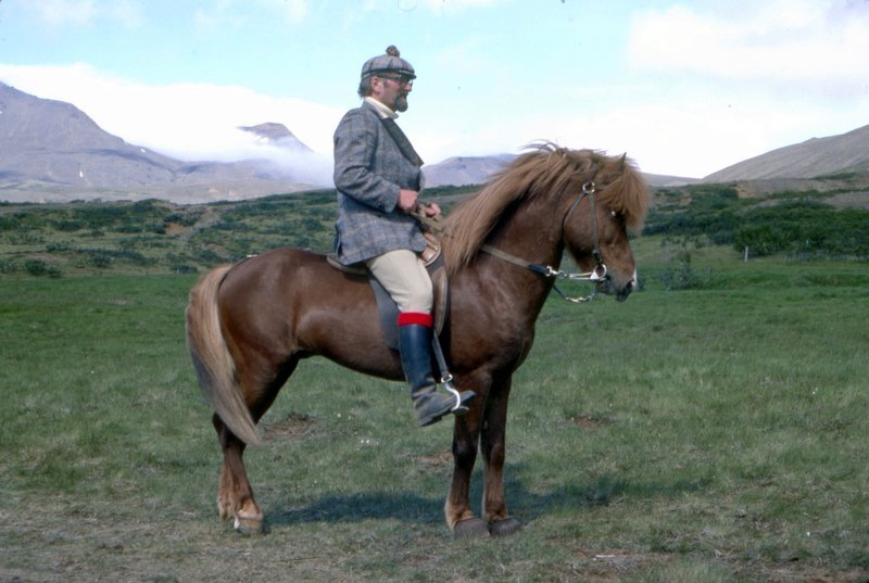 Myndatexti: Kunnur hestur fyrst lengi í einkaeigu en síðar í sambandseign: Þáttur 722 frá Kirkjubæ (IS1967186102). Sýndur á LM78 hvoru tveggja sem einstaklingur með einkunnina 8,16 og stóð þriðji í röð í elsta flokki stóðhesta (6 vetra og eldri) og með afkvæmum og hlaut 1. verðlaun, eink.: 8,09 og annað sætið. Var þá keyptur af Hrossaræktarsambandi Skagfirðinga. Hlaut svo heiðursverðlaun fyrir afkvæmi á landsmótinu 1982, eink.: 8,17 og annað sætið. Í WF eru skráð 611 afkvæmi hestsins og 117 þeirra með fullnaðardóm. Myndin er tekin á Skógarhólum árið 1978, knapi: Sigurður Haraldsson. Mynd úr safni SÍH, ljm.: Einar E. Gíslason.
