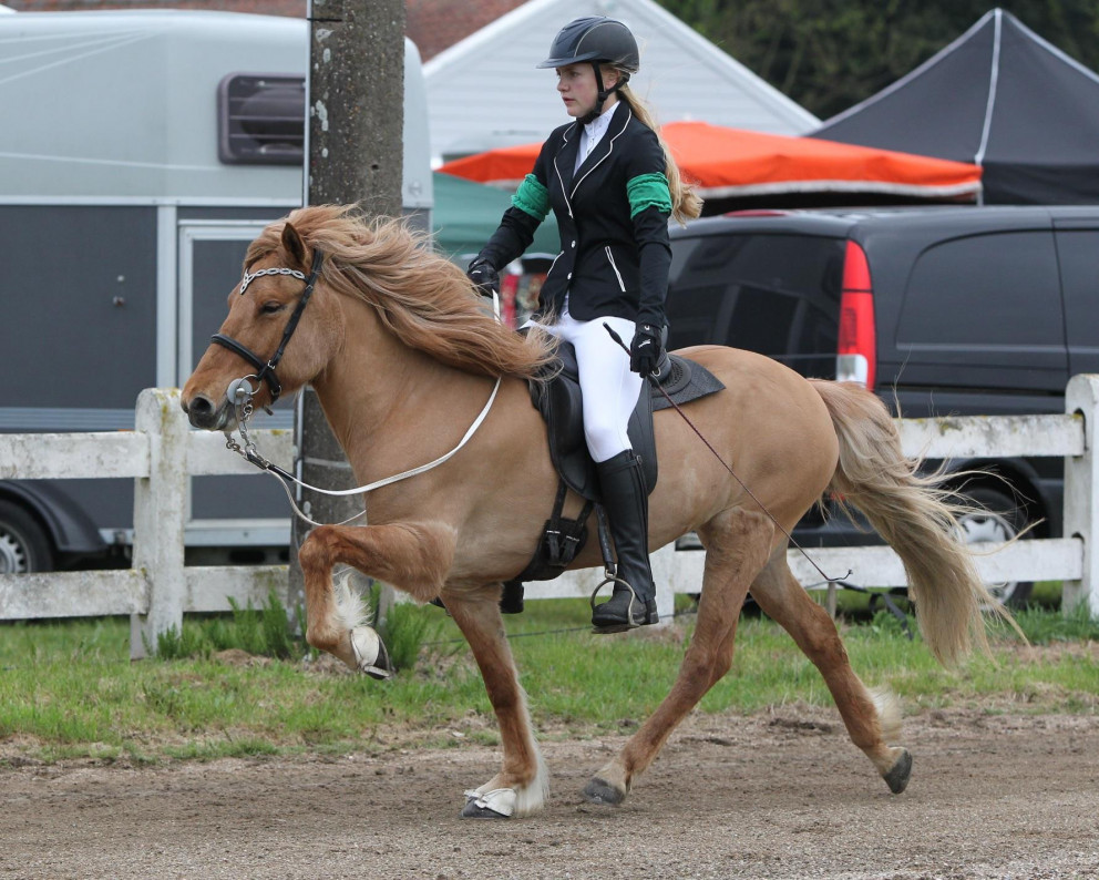 Lara Margrét og Örk frá Hjarðartúni. Mynd úr einkasafni.