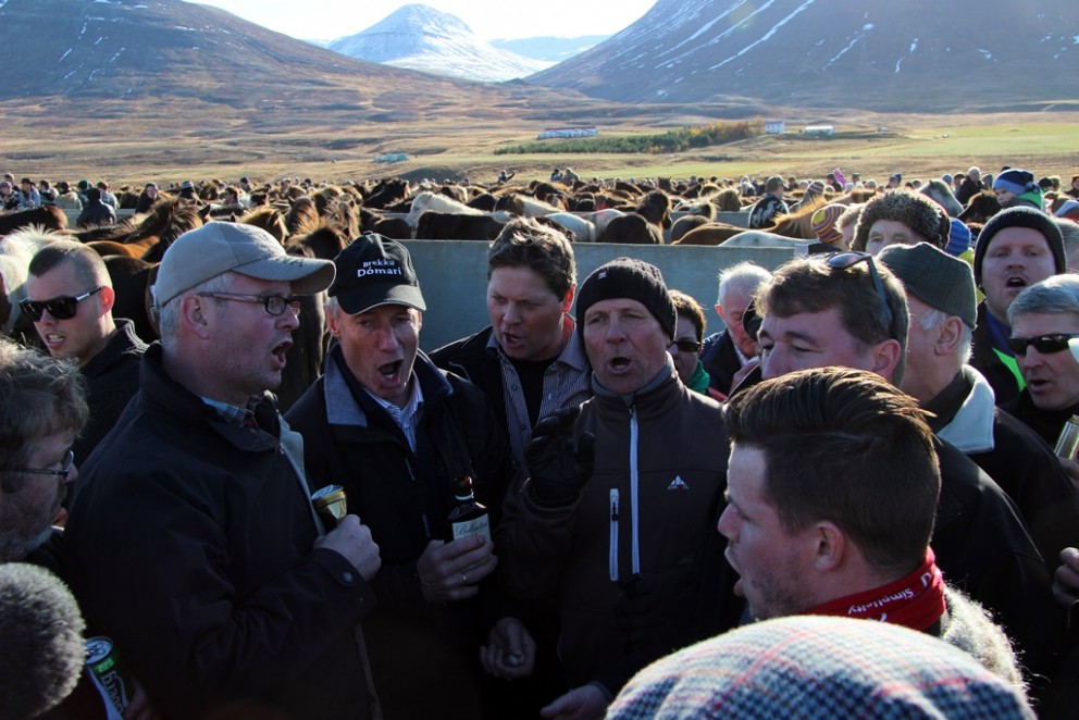 Drottning stóðrétta um næstu helgi