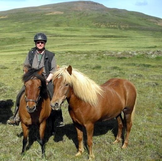 Þungur knapi á þungum hrossum.