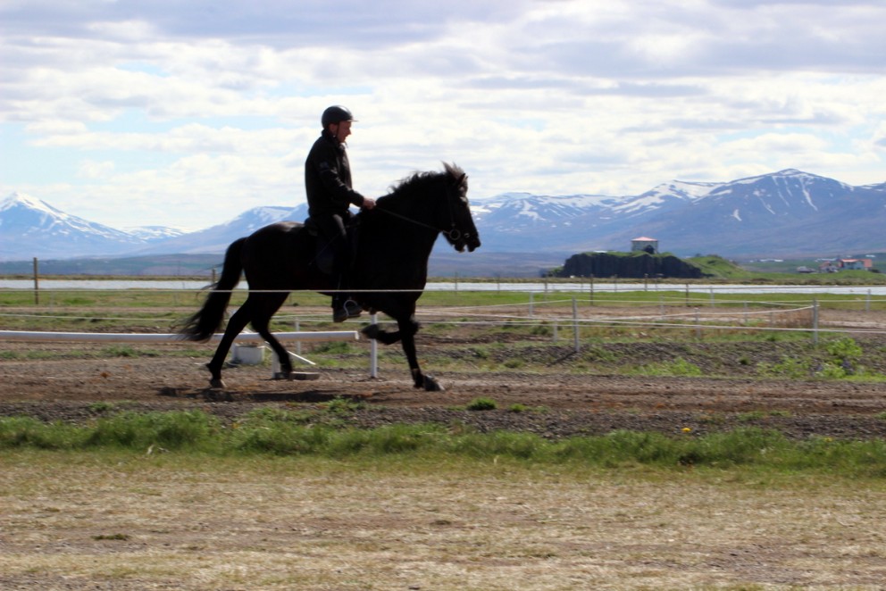 Opið hestaíþróttamót á Sauðárkróki