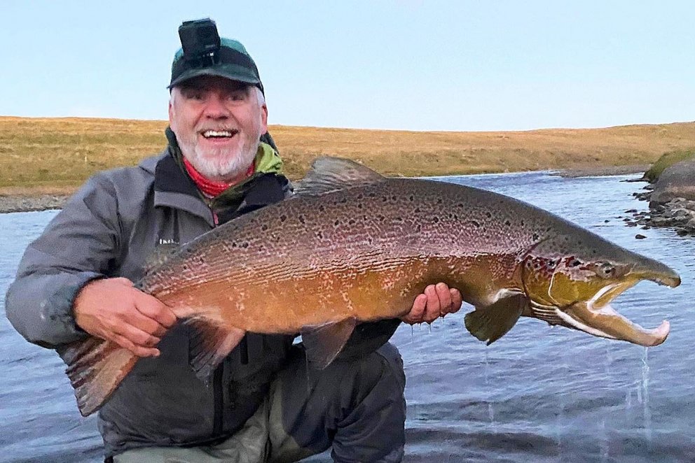 Hér má sjá Stebba Lísu sáttan með hundraðkallinn sinn, 101 sentimetra golla sem hann dró á land í Grjóthyl í Miðfjarðará 14. september síðastliðinn, sennilega stærsti laxinn úr ánni í sumar. Var þetta easy peacy löndun? „Nei, stóð í nærri 40 mínútur, róleg en löng barátta og Bjartur aðstoðaði mig við þessa löndun,“ segir Stebbi. Hann og Bjartur eru báðir Skagfirðingar þó þeir búi nú sunnan heiða. MYND AÐSEND