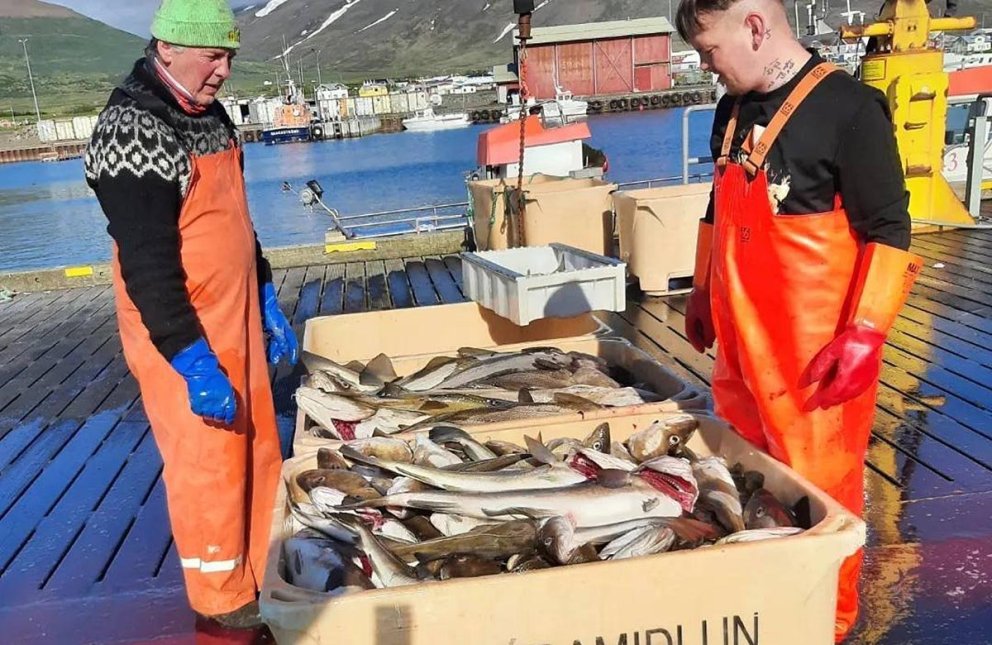Mynd tekin af Facebook-síðu Skagastrandarhafnar.