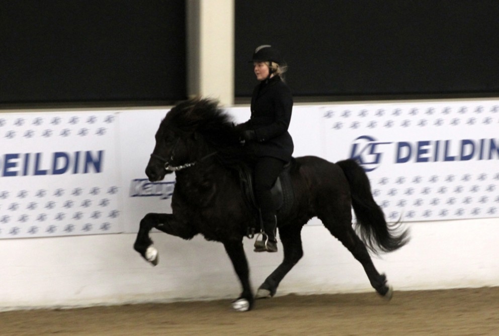 Slegið á létta strengi og gæðingskostir í hávegum hafðir