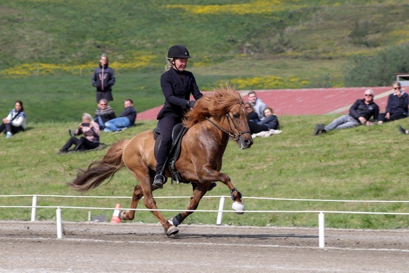 Mette Mannseth og Vívaldi frá Torfunesi. Mynd af FB/Gísli Guðjónsson