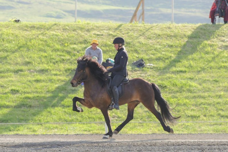 Mette Mannseth og Skálmöld frá Þúfum. Mynd af FB Skagfirðings.