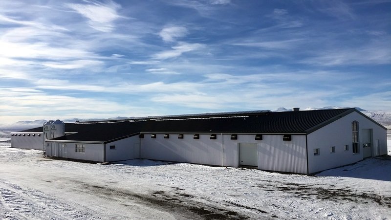 Nýja fjósið er glæsileg bygging. Mynd: Klara Helgadóttir