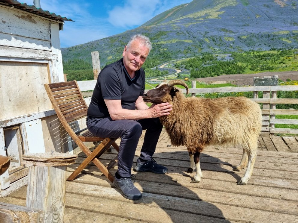 Guðni Ágústsson og forystukindin Elding frá Grobbholti á Húsavík. Aðsendar myndir.