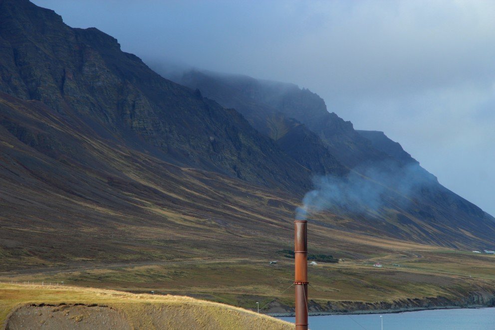 Mynd: Berglind Þorsteinsdóttir