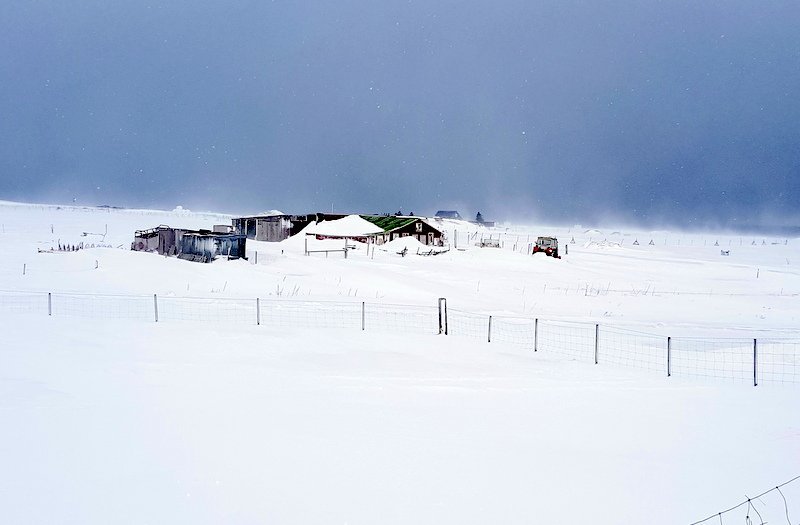 Af Nöfum á Sauðárkróki. Mynd: PF.