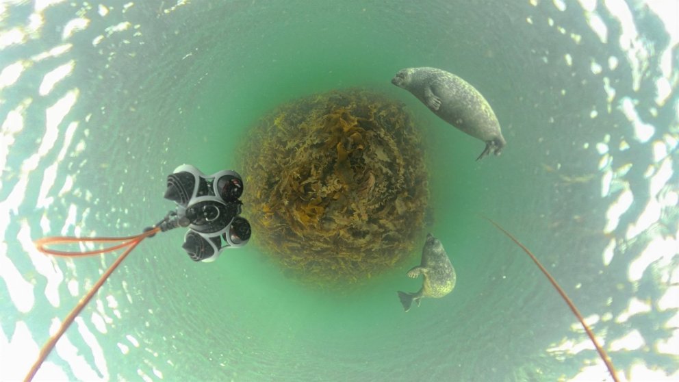 Neðansjávarskjáskot úr sýndarveruleikanum. MYND AÐSEND