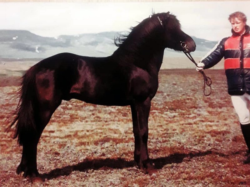 Otur og Eiríkur Guðmundsson. Mynd af Facebook.