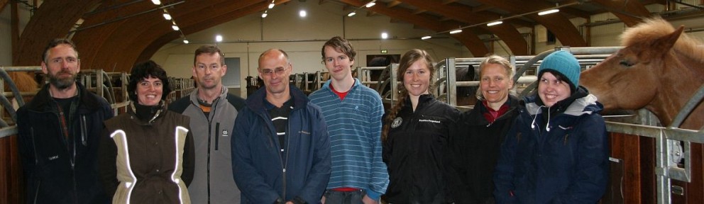 Áhrif þyngdar knapa á íslenska hestinn