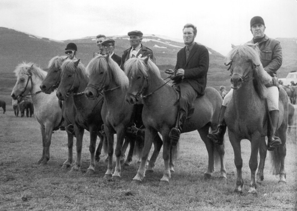 Rauður 618 ásamt afkvæmum. Eigandinn Halldór Sigurðsson situr Rauð lengst til hægri.. Mynd: Aðsend.