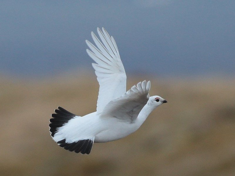 Mynd: Ust.is/Ólafur K. Nielsen.