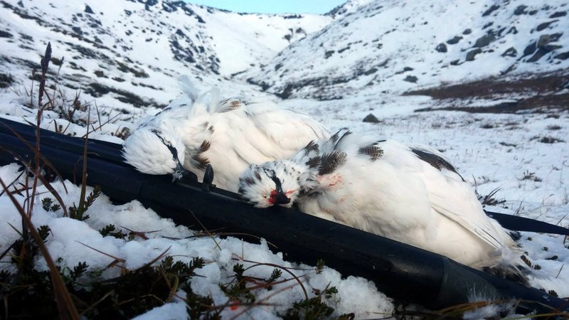 Lögreglan á Norðurlandi vestra hvetur alla veiðimenn til þess að gæta þess að hafa öll leyfi, hver sem þau eru, í lagi. Mynd af Facebooksíðu Lögreglunnar á Norðurlandi vestra.