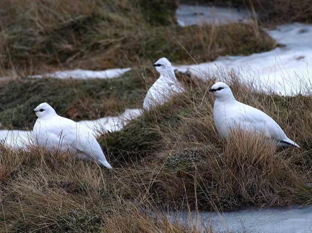 Í frumvarpi umhverfis- og auðlindaráðherra er m.a. komið til móts við sérstakar þarfir veiðimanna sem bundnir eru við hjólastól. Mynd: Stjórnarráð.is/ Hugi Ólafsson.