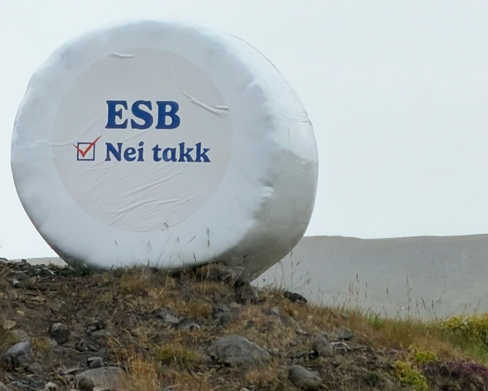 Nei rúllur hafa verið áberandi í sumar. Mynd: Af facebook.