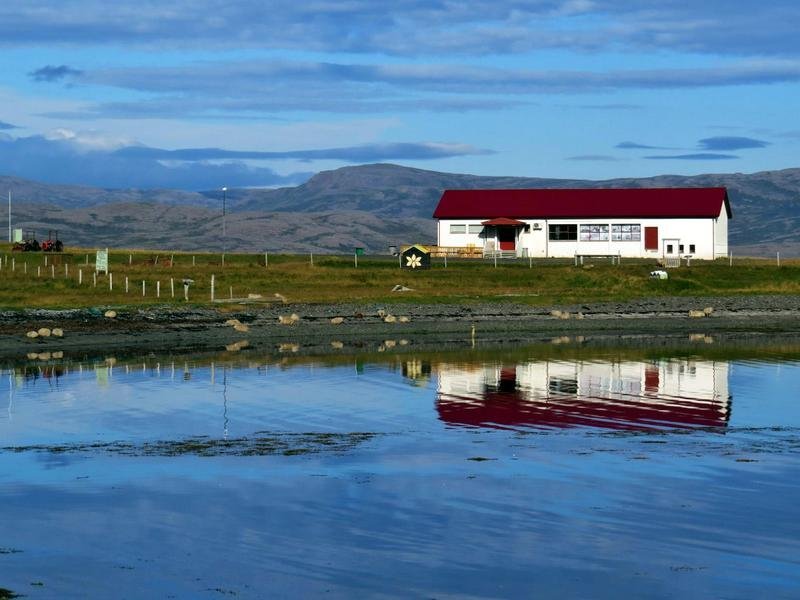 Góð aðsókn að Sauðfjársetrinu í sumar :: Íslandsmót í hrútadómum haldið 21. ágúst
