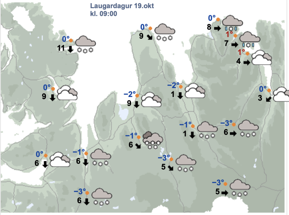 Skjáskot af vedur.is
