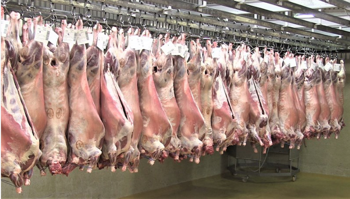 Mynd af síðu SAFL.