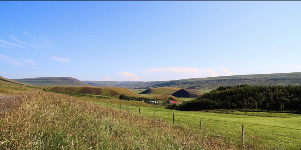 Í Vatnsdalnum. MYND: ÓAN