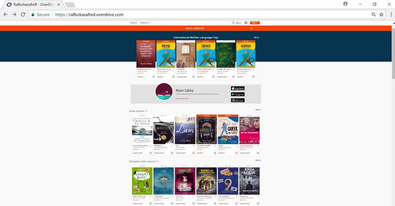 Skjámynd af forsíðu Rafbókasafnsins.