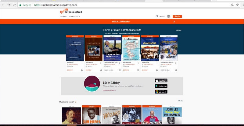 Skjámynd af forsíðu Rafbókasafnsins.