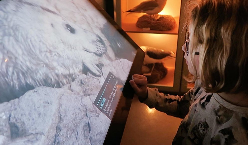 Frá Selasetri Íslands. SKJÁSKOT